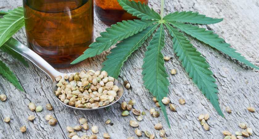 Why CBD Oil Has Become A Regular Dietary Product